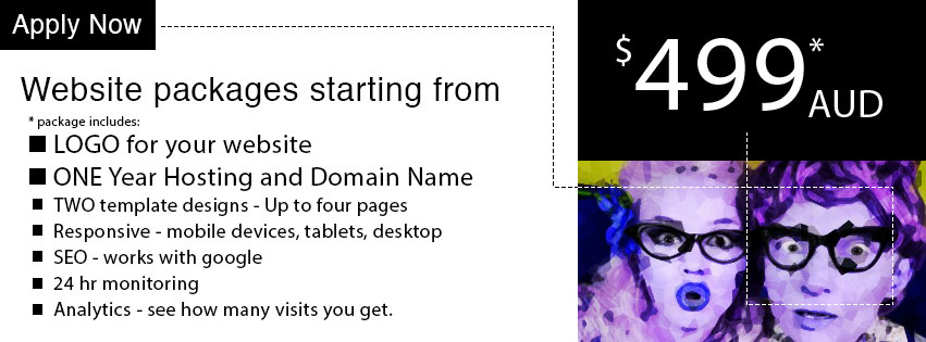 Websites from $499 - includes hosting and domain name registration